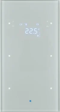 Berker Glas-Sensor mit Raumtemperatur. 75642034