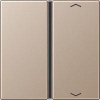 Jung Taste 1-fach champ. mit Symbolen A 401 TSAP CH