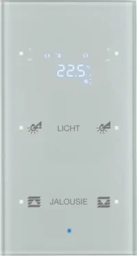 Berker Glas-Sensor mit Raumtemperatur. 75642134