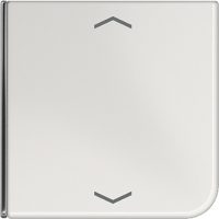 Jung Taste 4-fach lgr Symbol Auf/Ab CD 404 TSAP LG 14