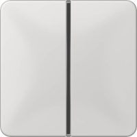 Jung Tastensatz 1-fach lgr komplett CD 401 TSA LG