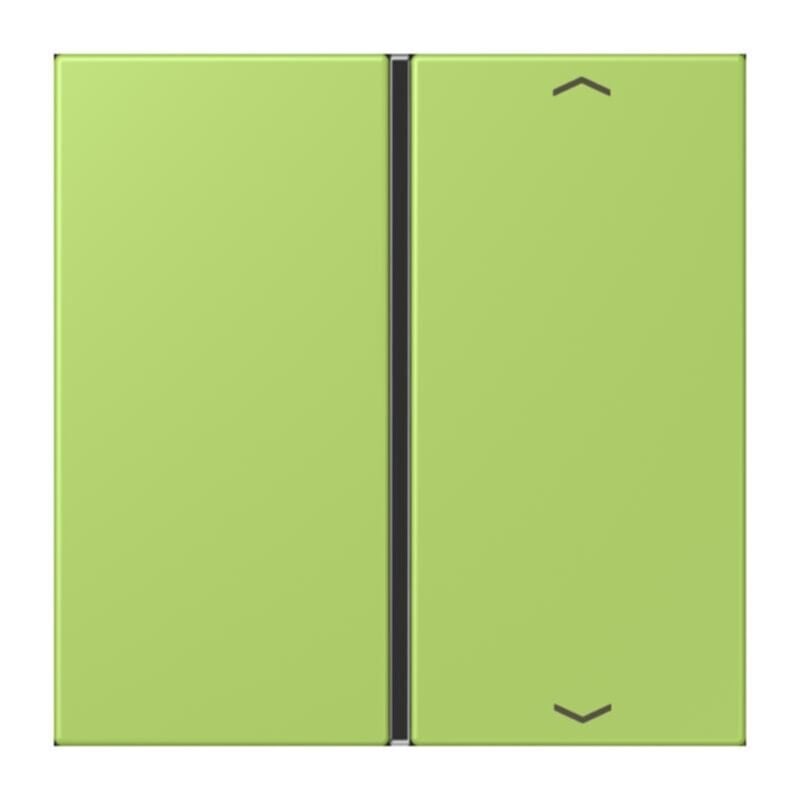 Jung Jung LC401TSAP221 Taste 1-fach Pfeil LC32052