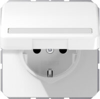 Jung SCHUKO-Steckdose 16A 250V Klappdeckel CD 1520 NBFNAKL WW