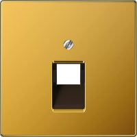 Jung Abdeckung für IAE/UAE-Dose LS 969-1 UA GGO
