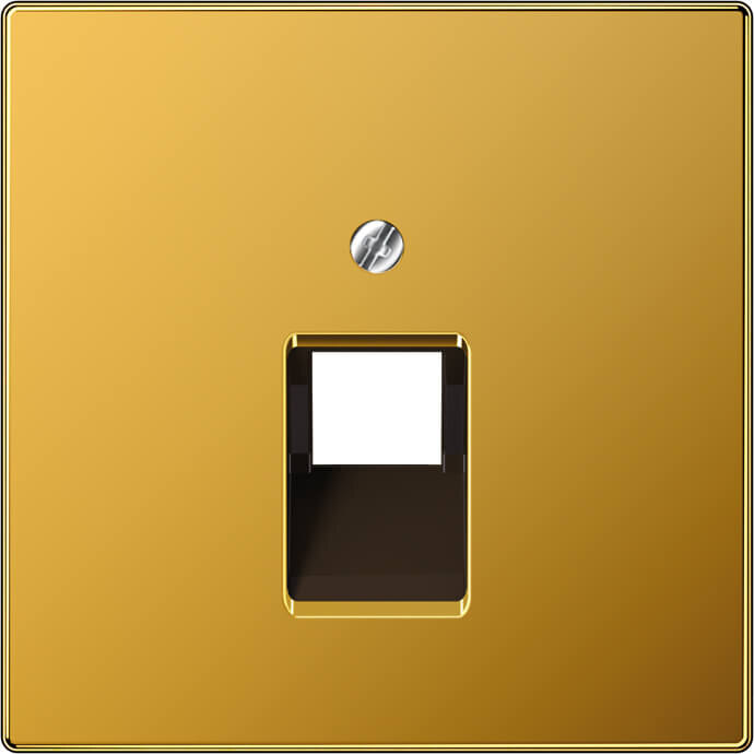 Jung Jung Abdeckung für IAE/UAE-Dose LS 969-1 UA GGO