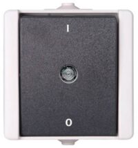 Kopp 540256000 Universalschalter AP-FR 2-polig10AX 250V Aquatop hg/dg