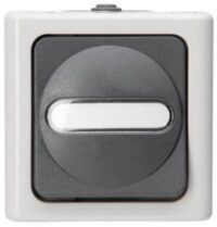 Bild vom Produkt: Kopp 560656006 Universalschalter AP-FR bel.10AX 250V IP44 Blueelectric grau
