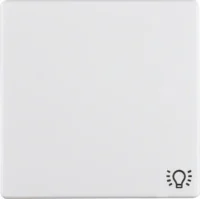 Berker Wippe Licht 16206049