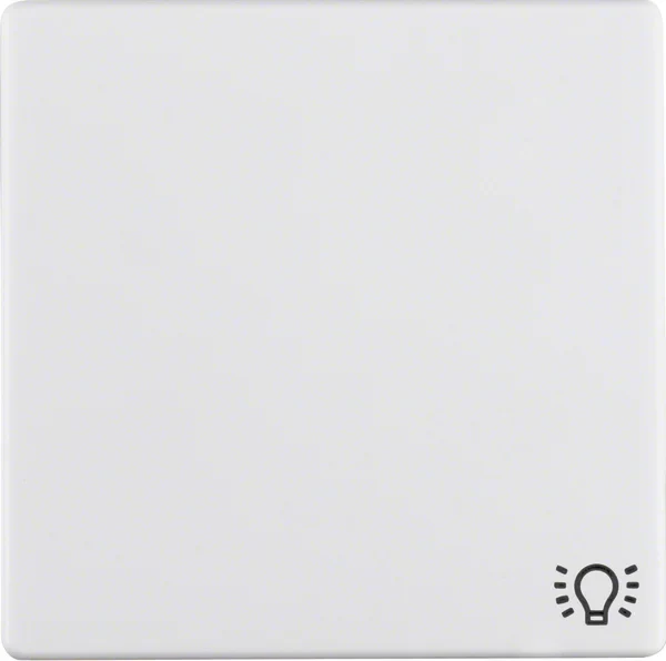 Berker Berker Wippe Licht 16206049