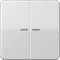 Jung KNX RF Taster 2-fach Duroplast, Serie CD CD 10921 ST RF LG