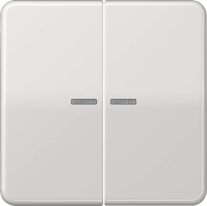 Jung Jung KNX RF Taster 2-fach Duroplast, Serie CD CD 10921 ST RF LG