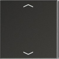 Jung Taste 4-fach anth Symbol Auf/Ab AL 2404 TSAP AN 23
