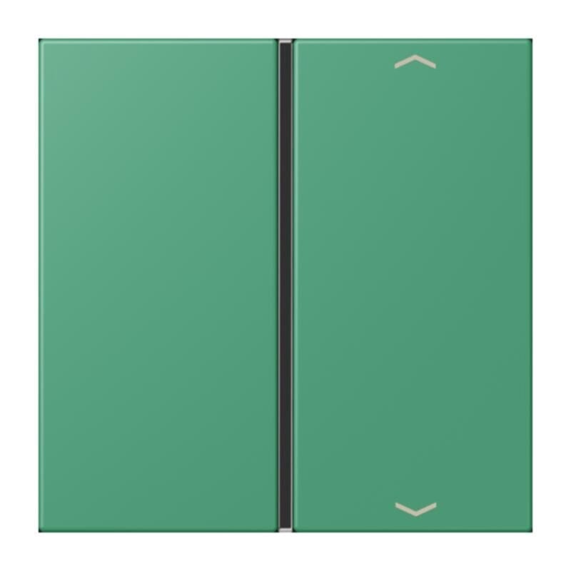 Jung Jung LC401TSAP250 Taste 1-fach Pfeil LC4320G