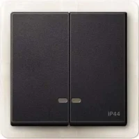 Merten Doppelwippe anth Kontrollfenster IP44 MEG3424-0414
