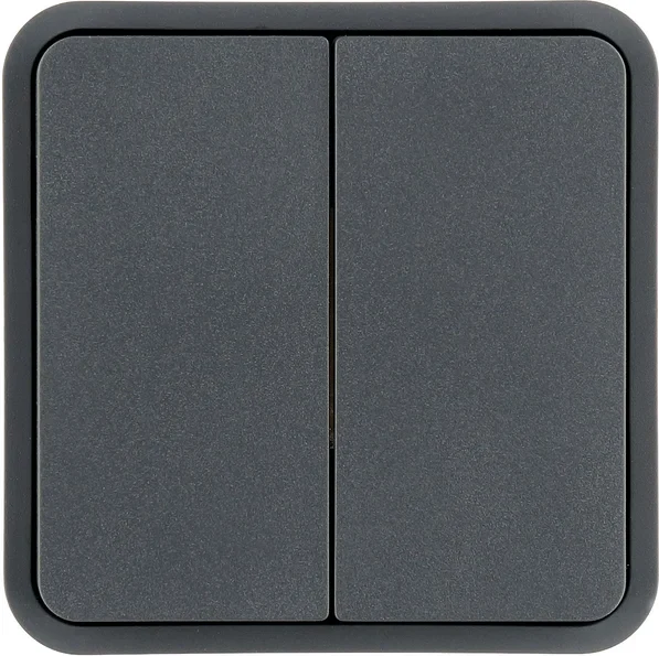 Berker Berker Wippe 2-fach, grau 30553545