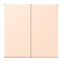 Jung LC1702228 Steuertaste 2-fach Standard LC32091