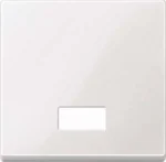 Merten Wippe Symbol Fenster pwsgl rechteckig 432819