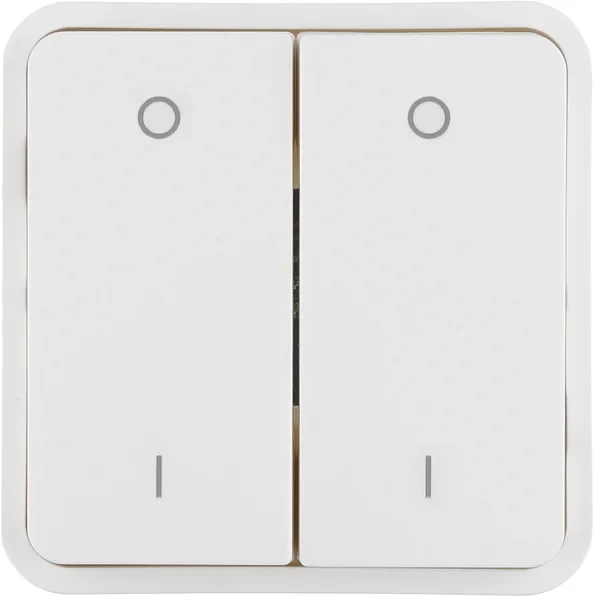 Berker Berker Wippe 2-fach, pws 30423552