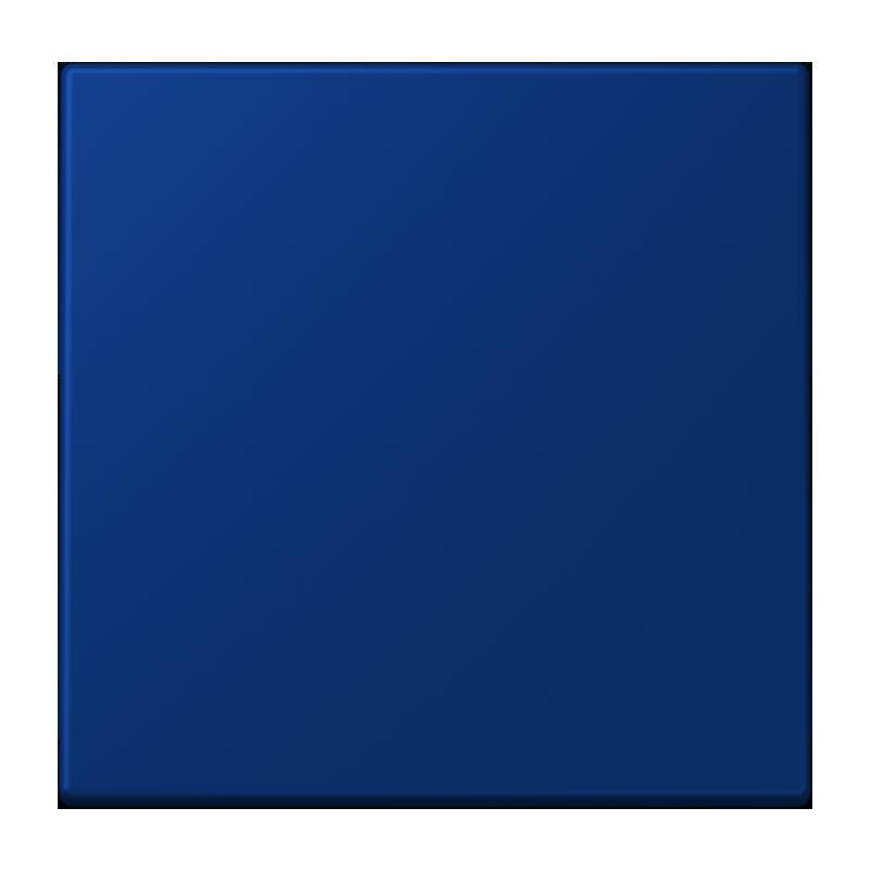 Jung Jung LC1700261 Steuertaste Standard LC4320T