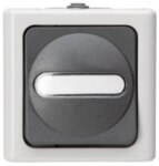 Kopp 560756009 AP-FR Kreuzschalter beleuchtet10AX 250V IP44 Blueelectric grau