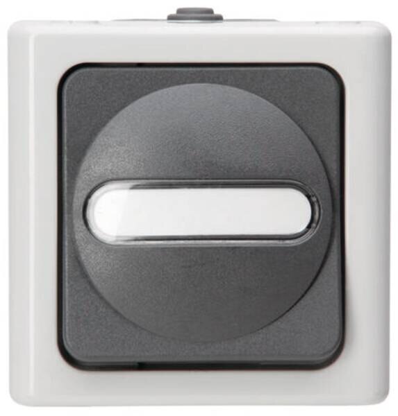 Kopp Kopp 560756009 AP-FR Kreuzschalter beleuchtet10AX 250V IP44 Blueelectric grau