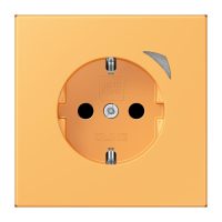 Jung BTLC1521S254 JUNG HOME SCHUKO Steckdose LC4320L