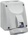 Legrand 555354 CEE-Aufputzsteckdose P17 Tempra Pro 3-polig 16A 230VAC blau IP66/67
