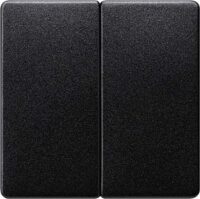Siemens 5TG6225 DELTA i-system carbon- metallic Wippe 2-fach neutral für Serien