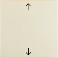 Berker Wippe weiß/gl Symbol Pfeil 16208912