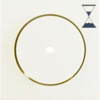 Berker Zentralstück weiß/gl mit Druckknopf 16748982