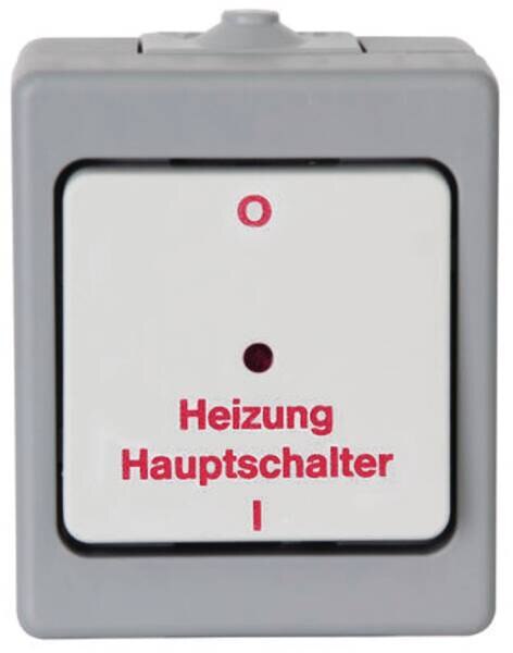 Kopp Kopp 567348009 AP-Heizungshauptschalter Standard grau/lichtgrau