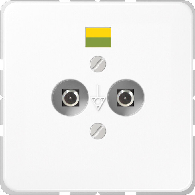 Jung Jung Potential-Ausgl Steckdose 2 Steckerstifte CD 565-2 WW