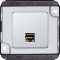 Merten Anschlussmodul-RJ45 2-fach Panzer Actassi MEG4576-7021
