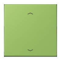 Jung LC1700P220 Steuertaste Standard -Pfeile LC32051