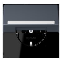 Jung LC1520BFNAKL262 SCHUKO-SteckdoseKI mit Klappdeckel mit S