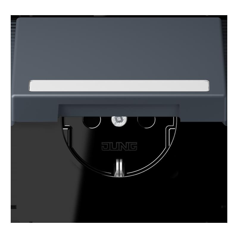 Jung Jung LC1520BFNAKL262 SCHUKO-SteckdoseKI mit Klappdeckel mit S