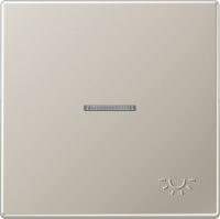 Jung Wippe geprägtes Symbol Licht edelstahl ES 2990 KO5 LP