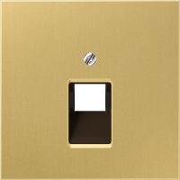 Jung Abdeckung Mess/clas f.IAE/UAE-/Datendose ME 2969-1 UA C