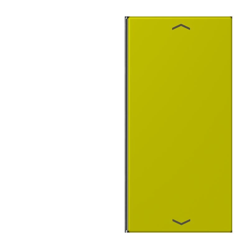 Jung Jung LC402TSAP249 Taste 2-fach Pfeil LC4320F