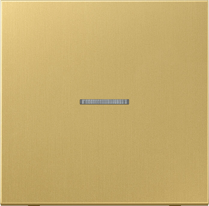 Jung Jung KNX RF Taster 1-fach neutral, Messing ME 10911 ST RF C