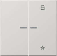 Jung FM LS 1701 LG eNet Funk-Steuertaste