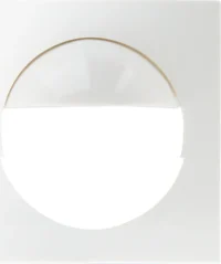 BEG Brück Electronic Zentralplatte 56x56 reinweiß glänz. 35126