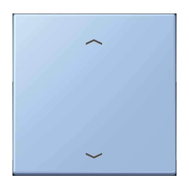 Jung Jung LC1700P207 Steuertaste Standard -Pfeile LC32021