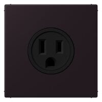 Jung LC521-15248 Steckdose US-Norm NEMA LC4320E
