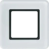 Berker Rahmen 1-fach glas-pws LED-Beleuchtung 10116179