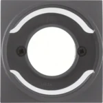 Berker Zentralstück anthrazit/matt für Lichtsignal E14 11981606