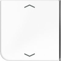 Jung Taste 4-fach aws Symbol Auf/Ab CD 404 TSAP WW 23