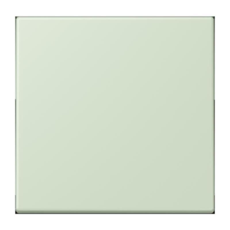 Jung Jung ENOLC990218 ENO Funk Wandsender 2 kanalig LC32042