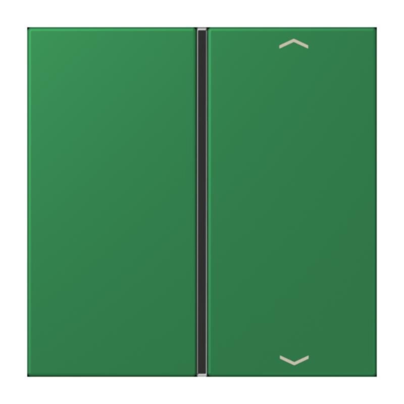 Jung Jung LC401TSAP219 Taste 1-fach Pfeil LC32050