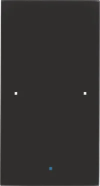 Berker Glas-Sensor 1-fach schwarz 75141835